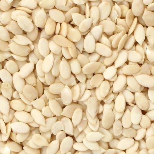 Watermelon Seeds (MAGAJ) (Loose), 15 Kg