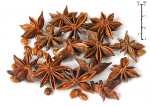 Star Anise (Badiyan), 1 Kg