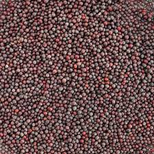 Mustard (Rai), 1 Kg