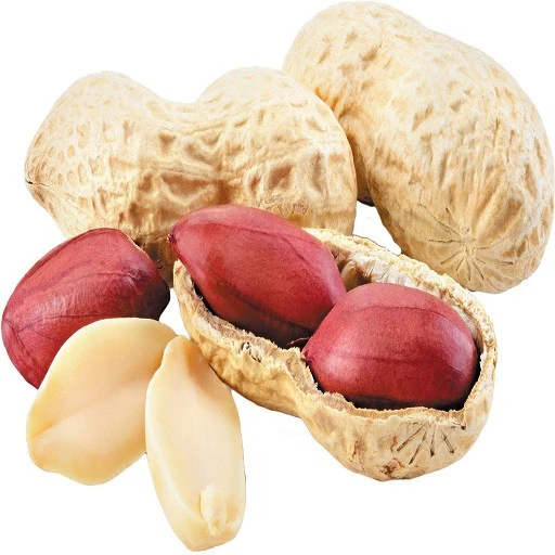 Raw Peanuts (Groundnut), 5 Kg
